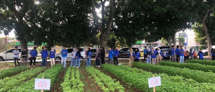 WhatsApp Image 2024-12-13 at 13.41.41_02942b0d