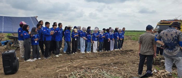 WhatsApp Image 2025-11-08 at 11.29.46_ff4bf77f